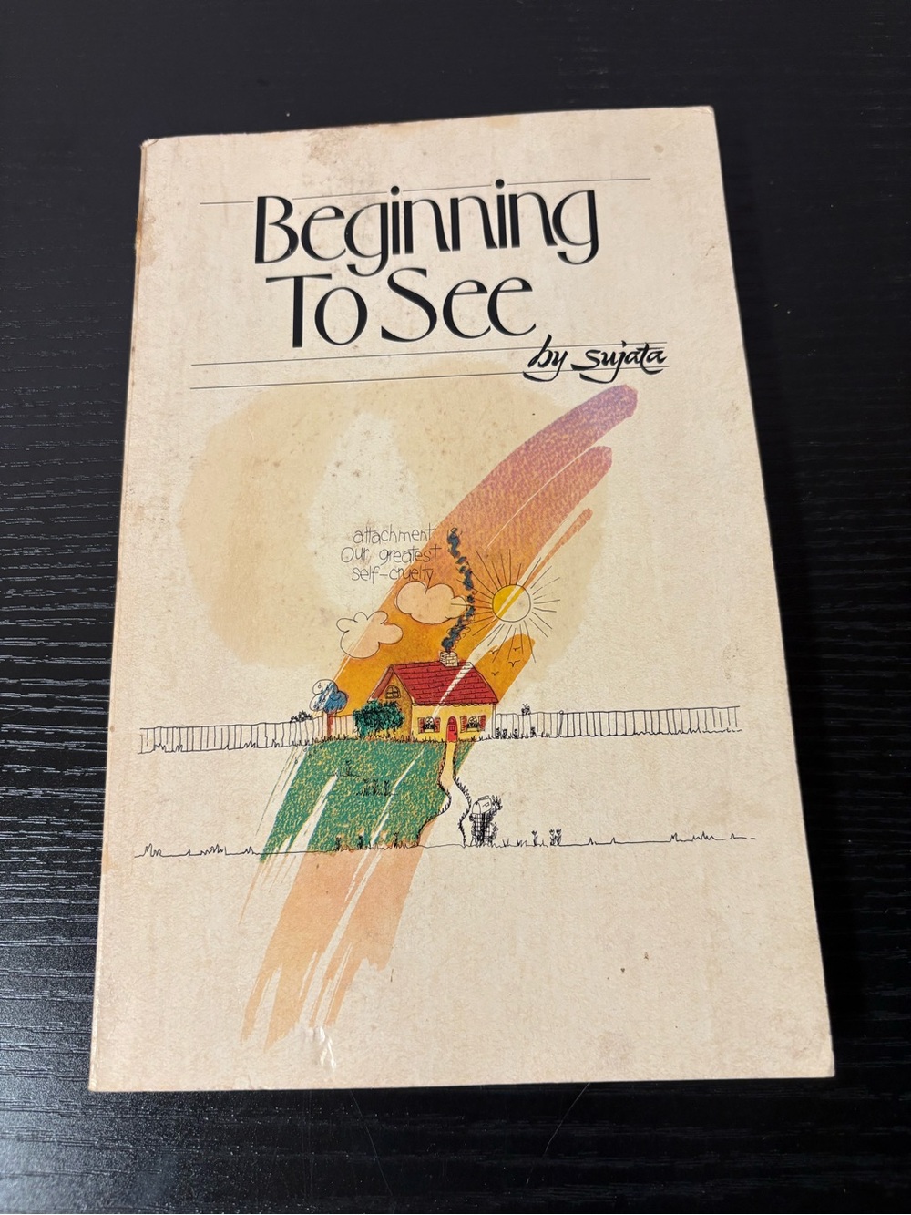 Vintage Meditation-Beginning To See by Sujata